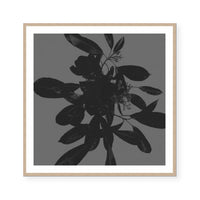 Botanical Light 1