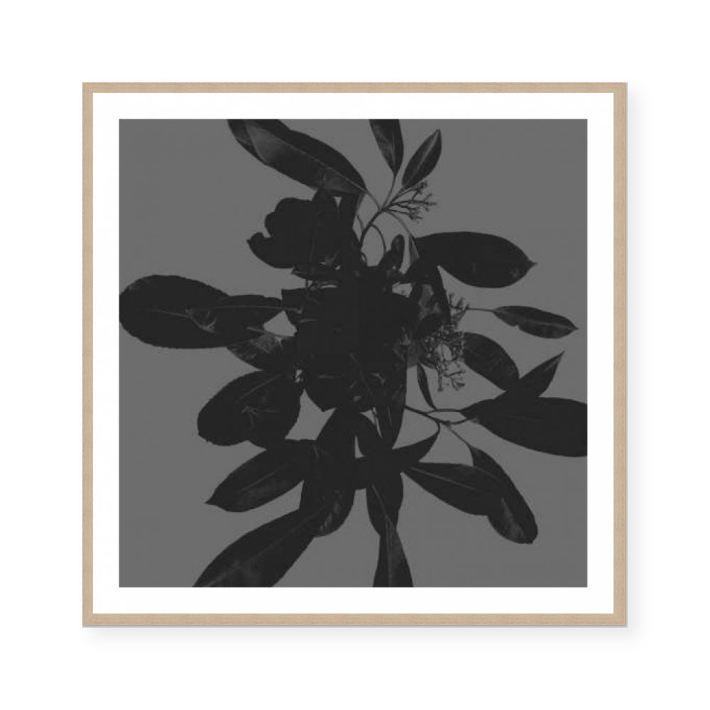 Botanical Light 1