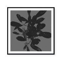Botanical Light 2