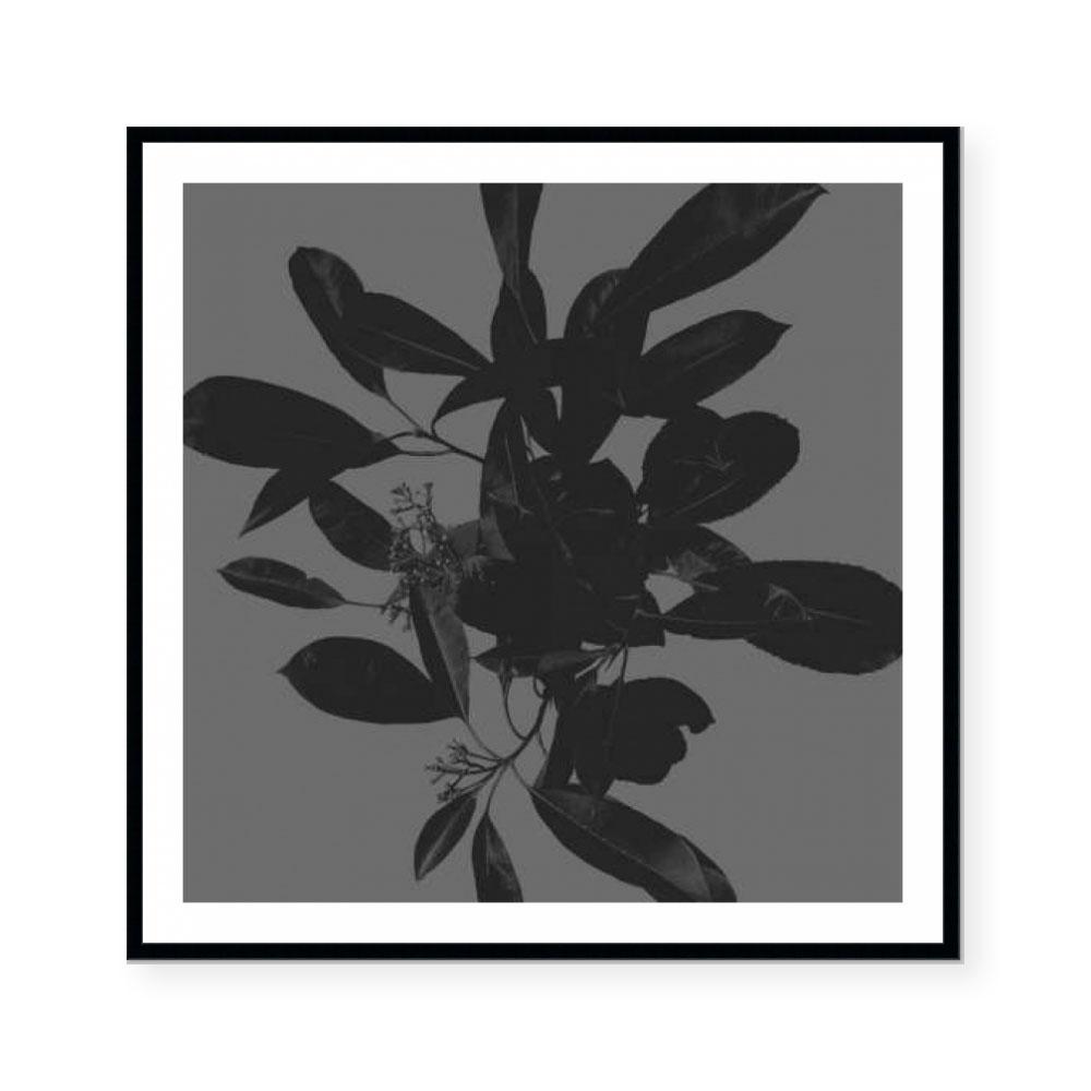 Botanical Light 2
