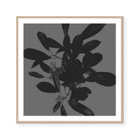 Botanical Light 2