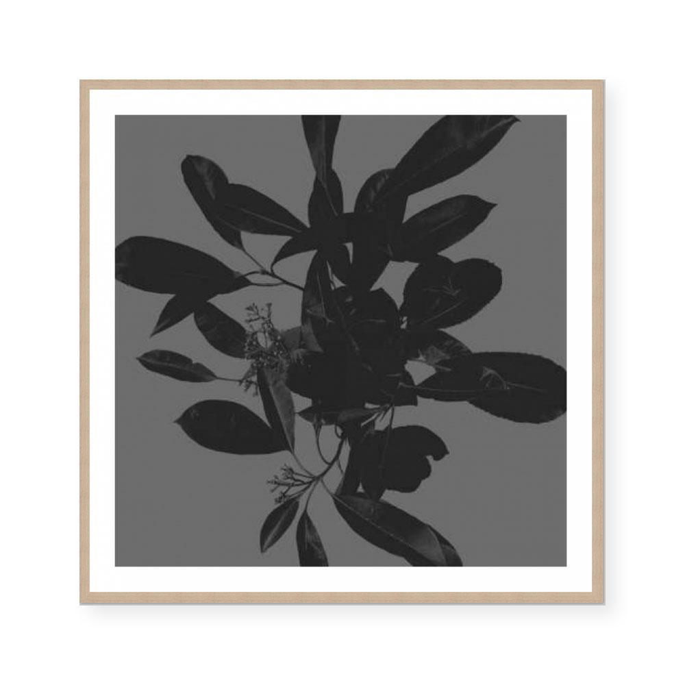 Botanical Light 2