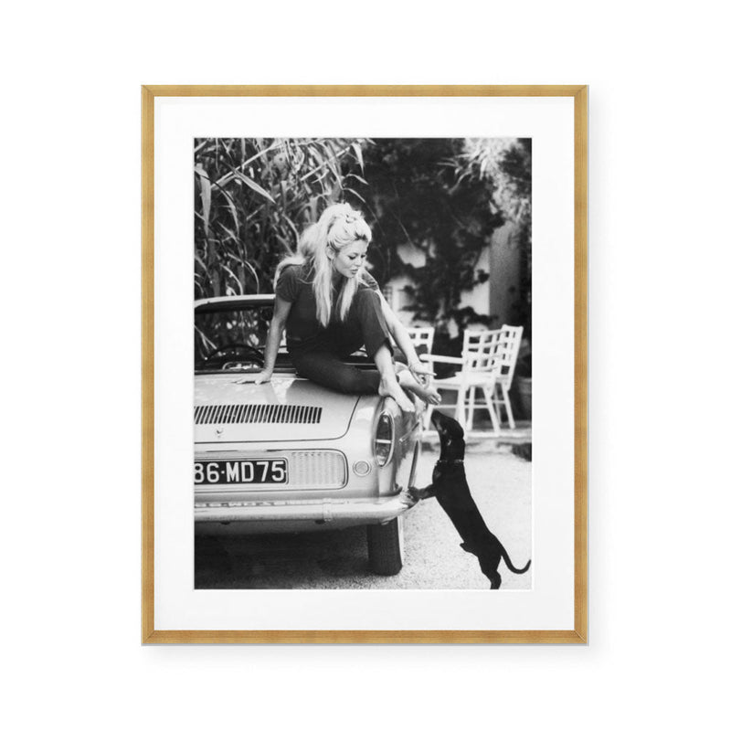 Brigitte Bardot at Home