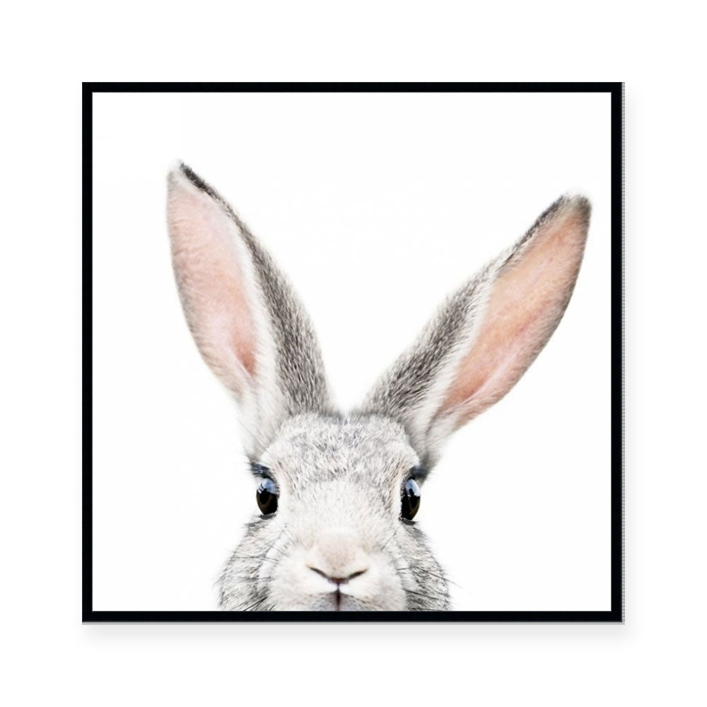 Bunny | Square