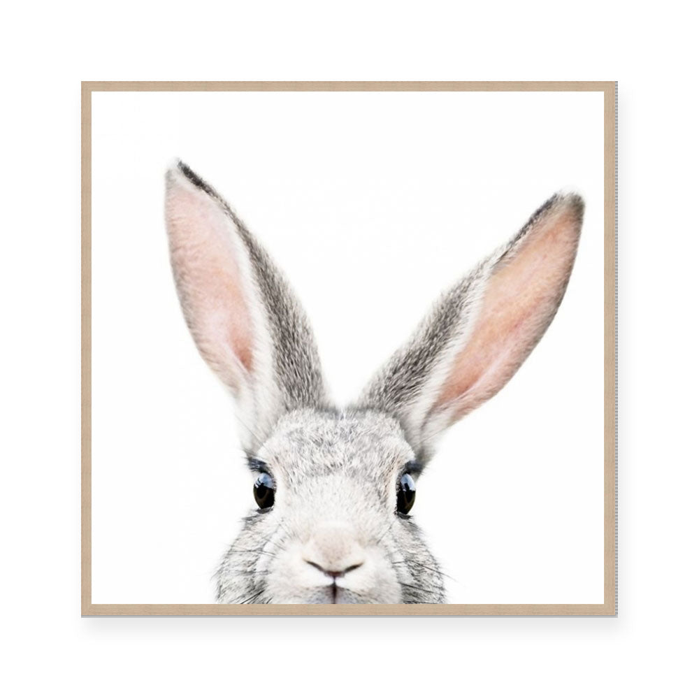 Bunny | Square