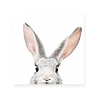 Bunny | Square