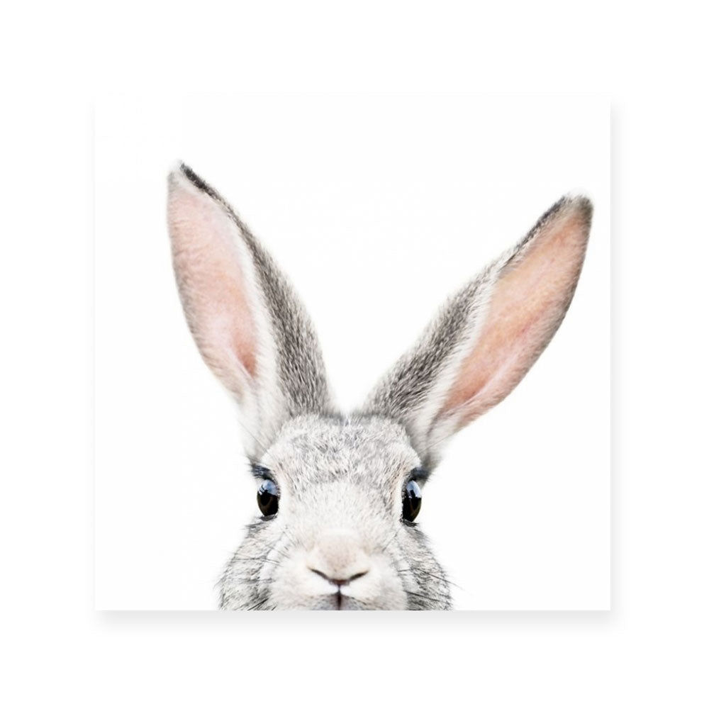 Bunny | Square