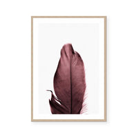 Burgundy Feathers II