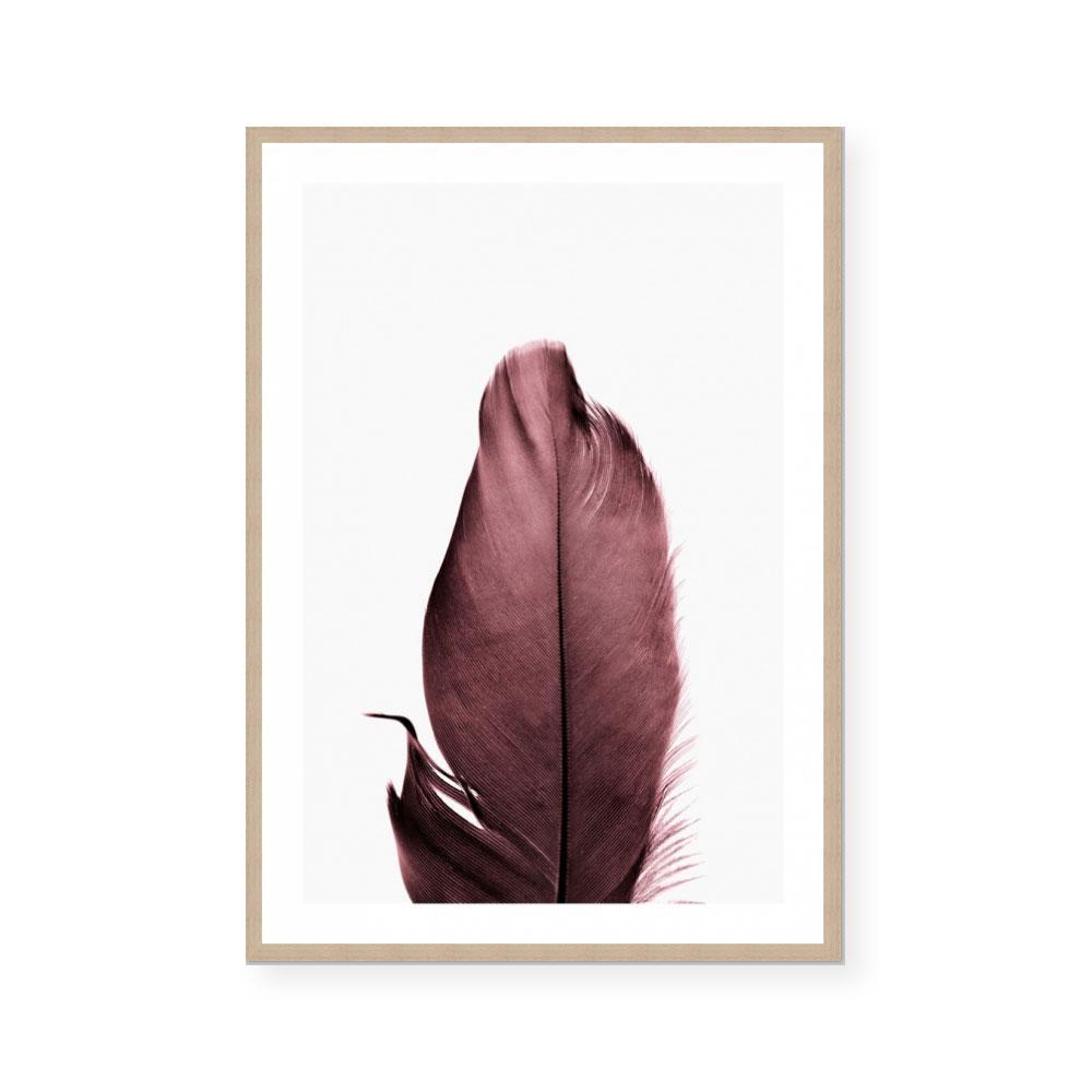 Burgundy Feathers II