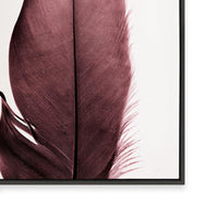 Burgundy Feathers II