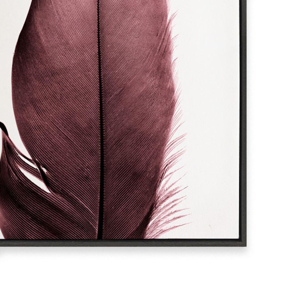 Burgundy Feathers II