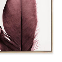 Burgundy Feathers II