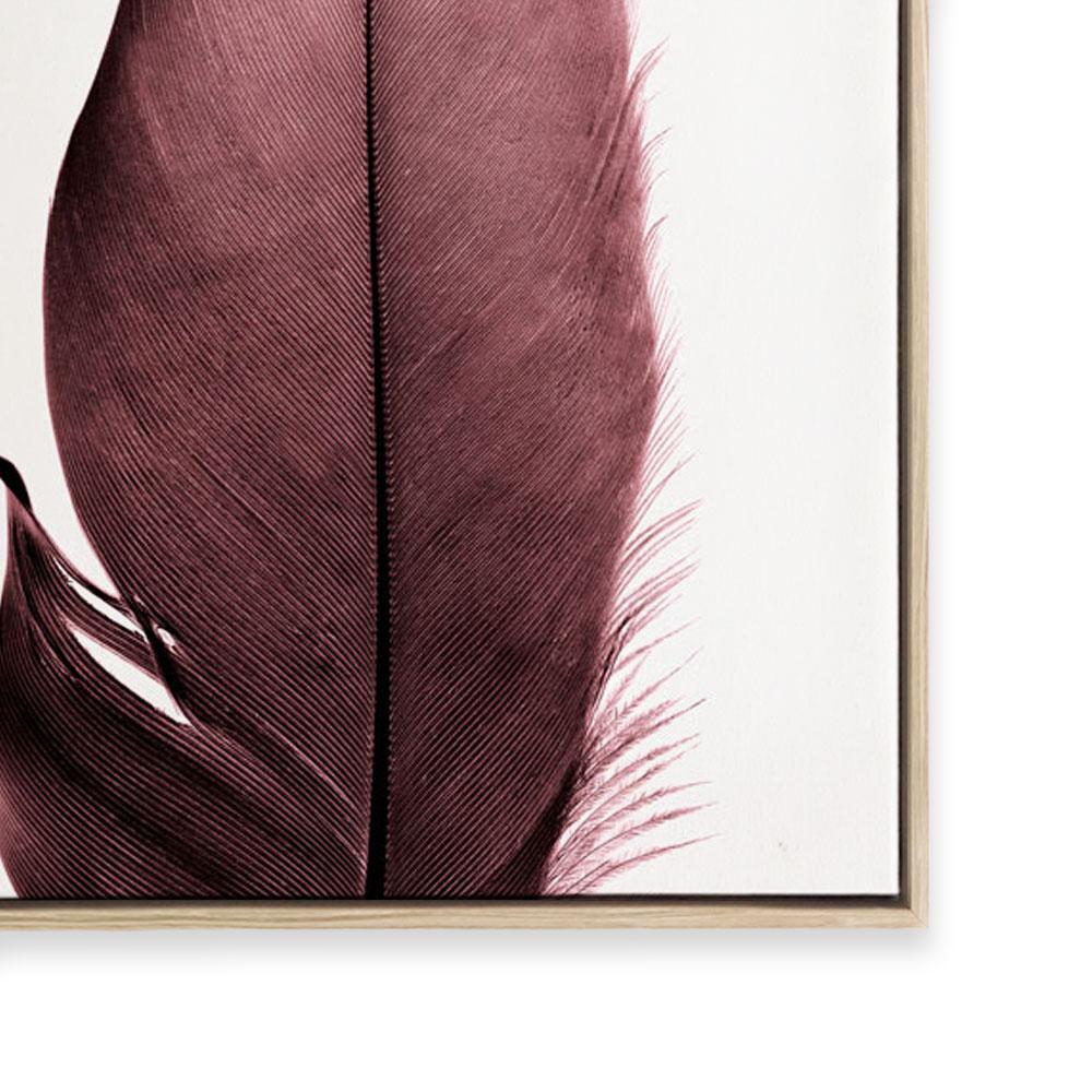 Burgundy Feathers II