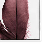 Burgundy Feathers II