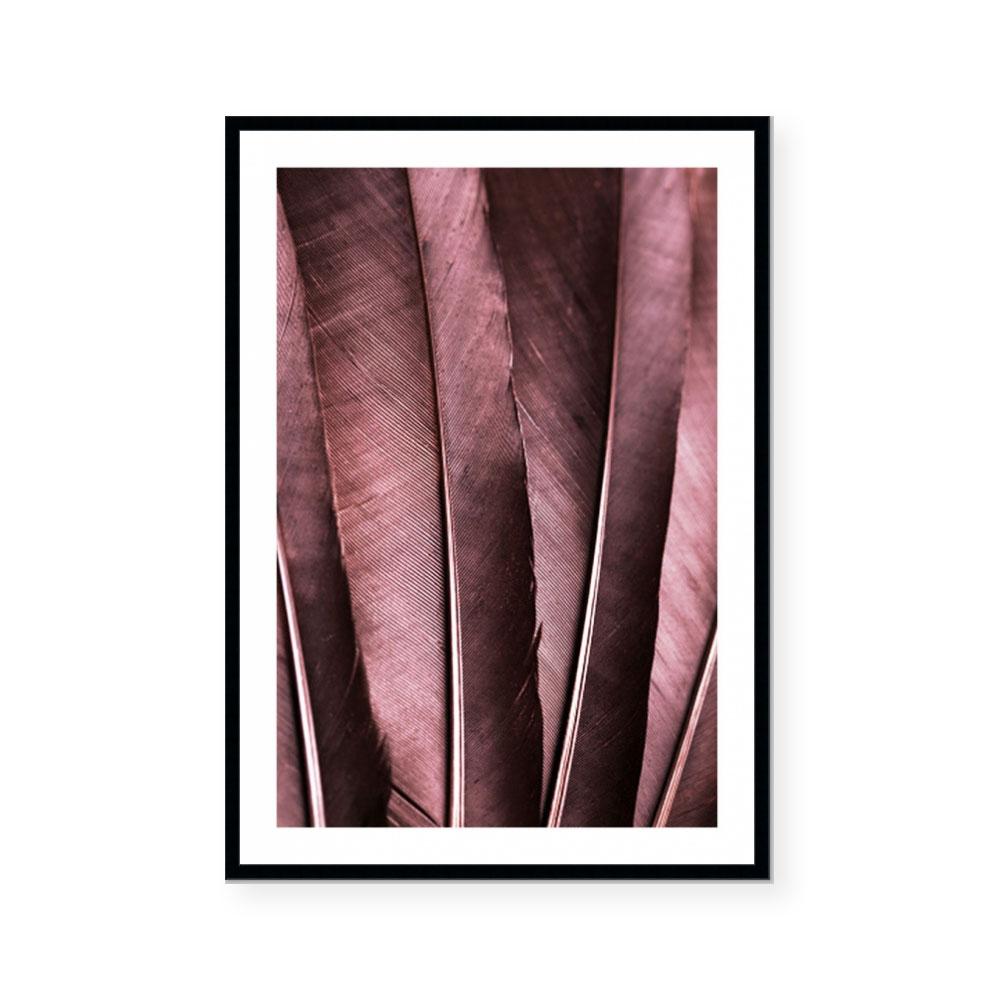 Burgundy Feathers I