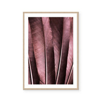 Burgundy Feathers I