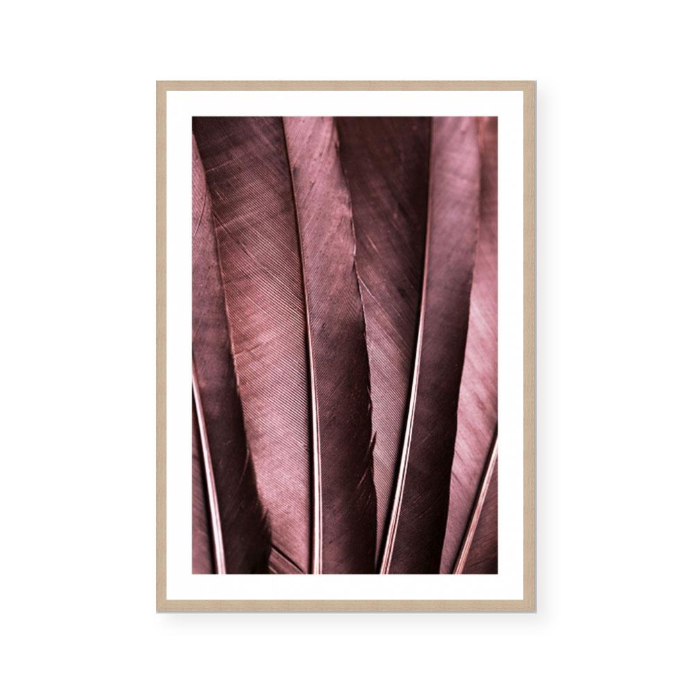 Burgundy Feathers I
