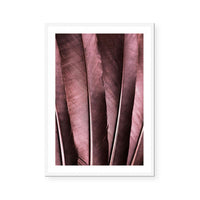 Burgundy Feathers I