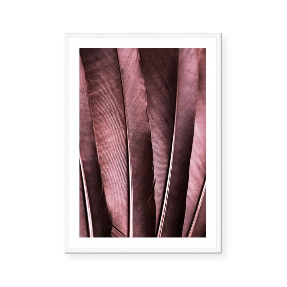 Burgundy Feathers I