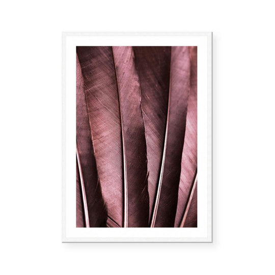 Burgundy Feathers I