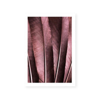 Burgundy Feathers I