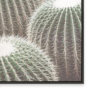 Cactus Detail II