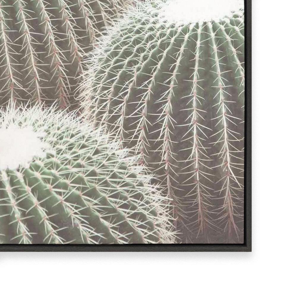 Cactus Detail II