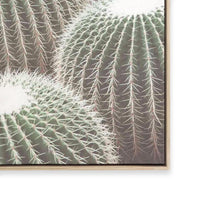 Cactus Detail II