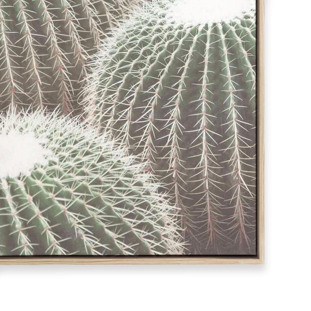 Cactus Detail II