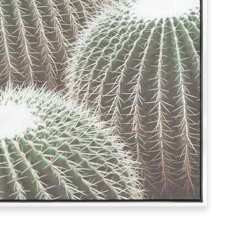 Cactus Detail II