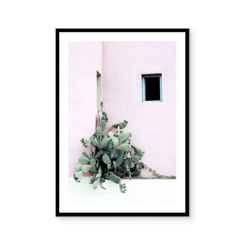 Cactus Courtyard