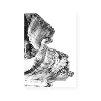 Contour II