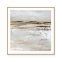 Desert Floor