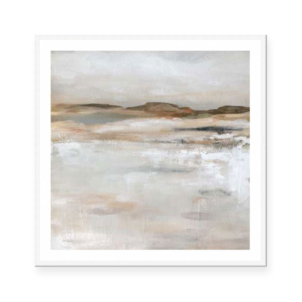 Desert Floor