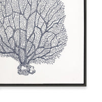 Coral III