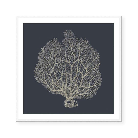 Coral III | Blueprint