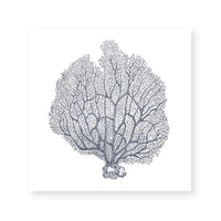 Coral III
