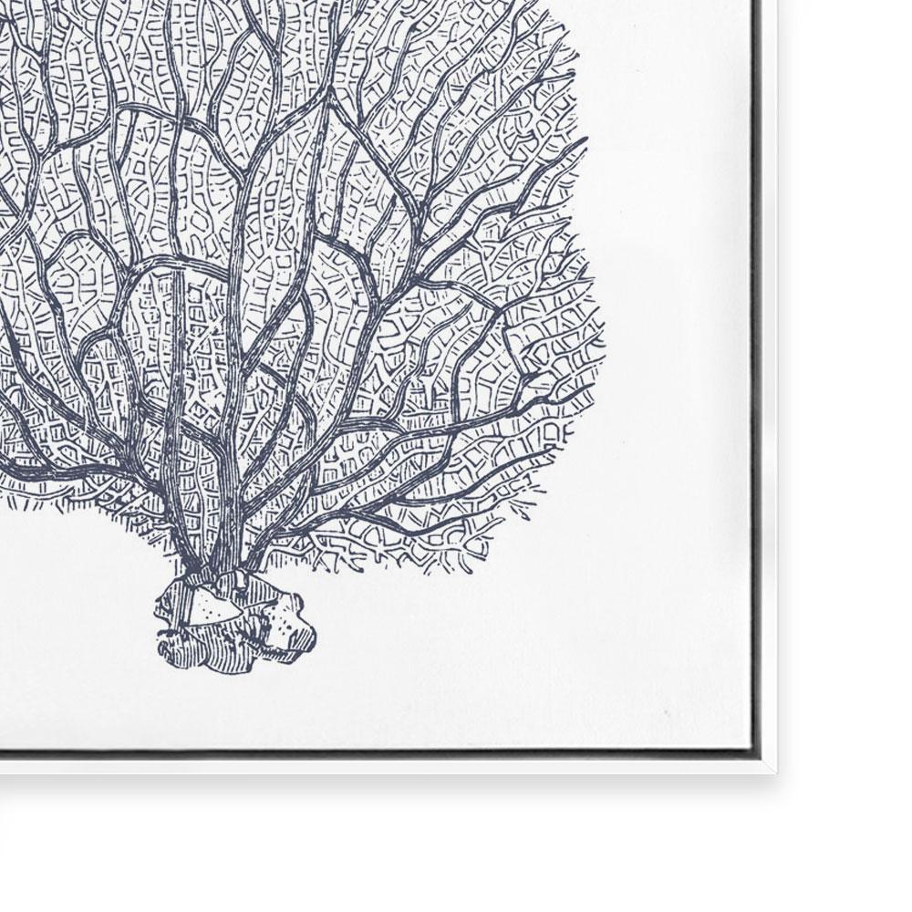 Coral III