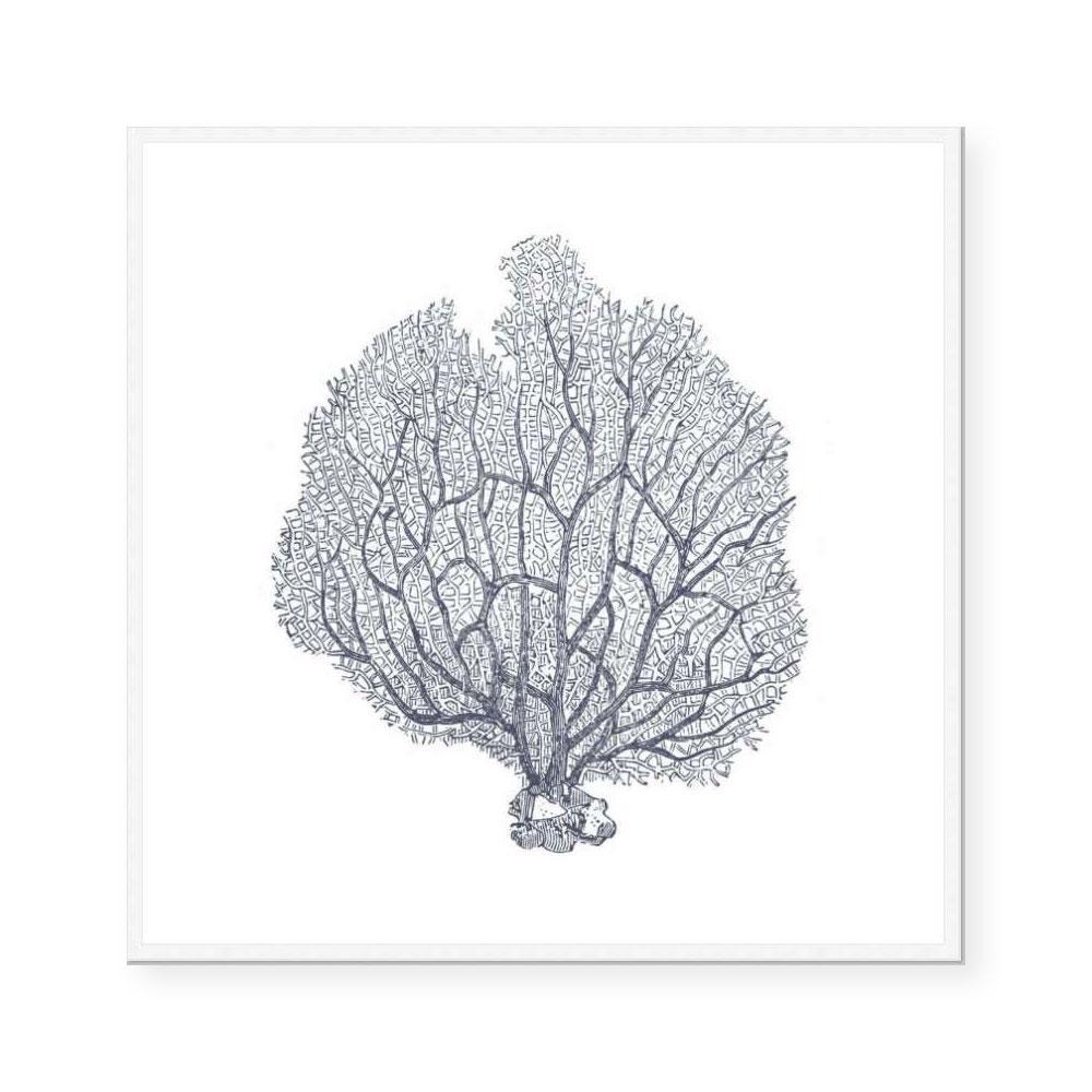 Coral III