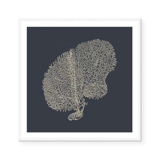 Coral II | Blueprint