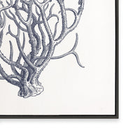 Coral I