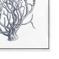 Coral I