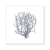 Coral I