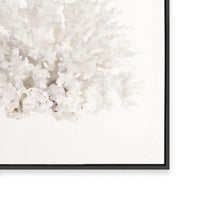 Crystal Coral III