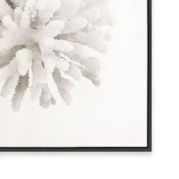 Crystal Coral I