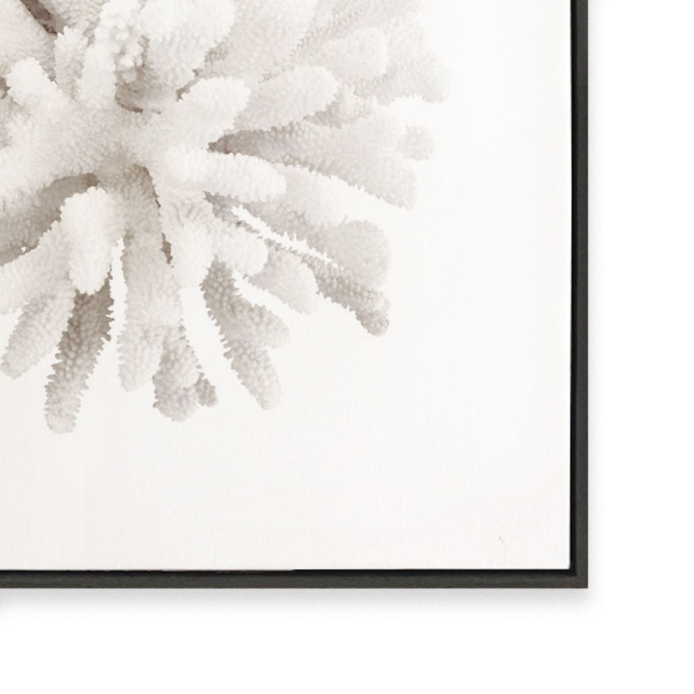 Crystal Coral I