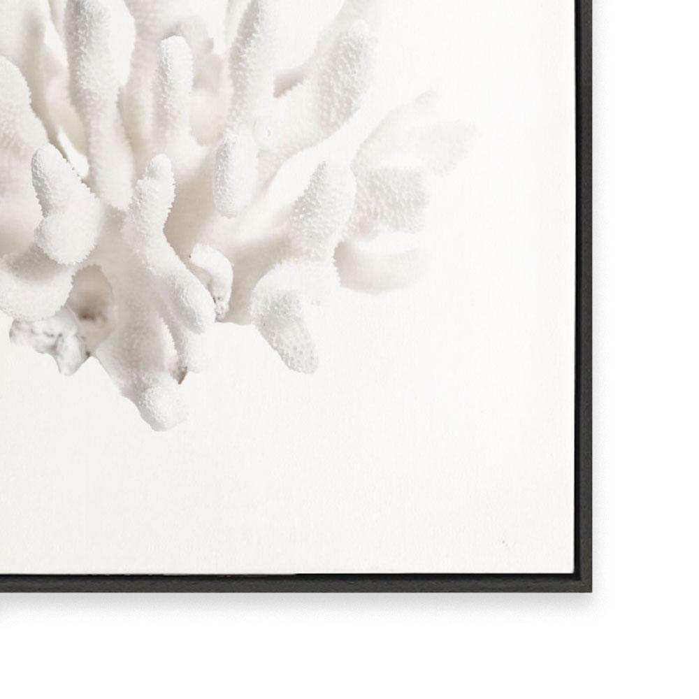 Crystal Coral II