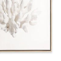 Crystal Coral II
