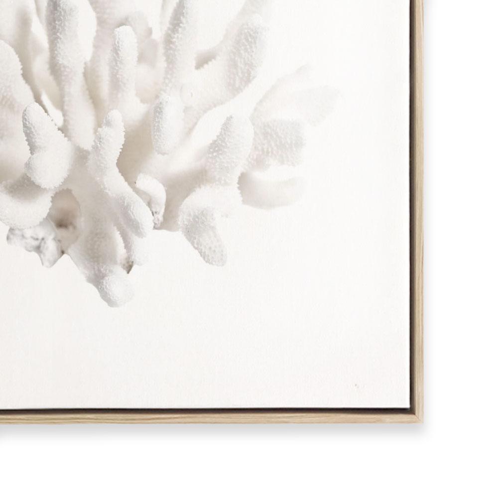 Crystal Coral II