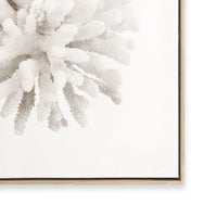 Crystal Coral I